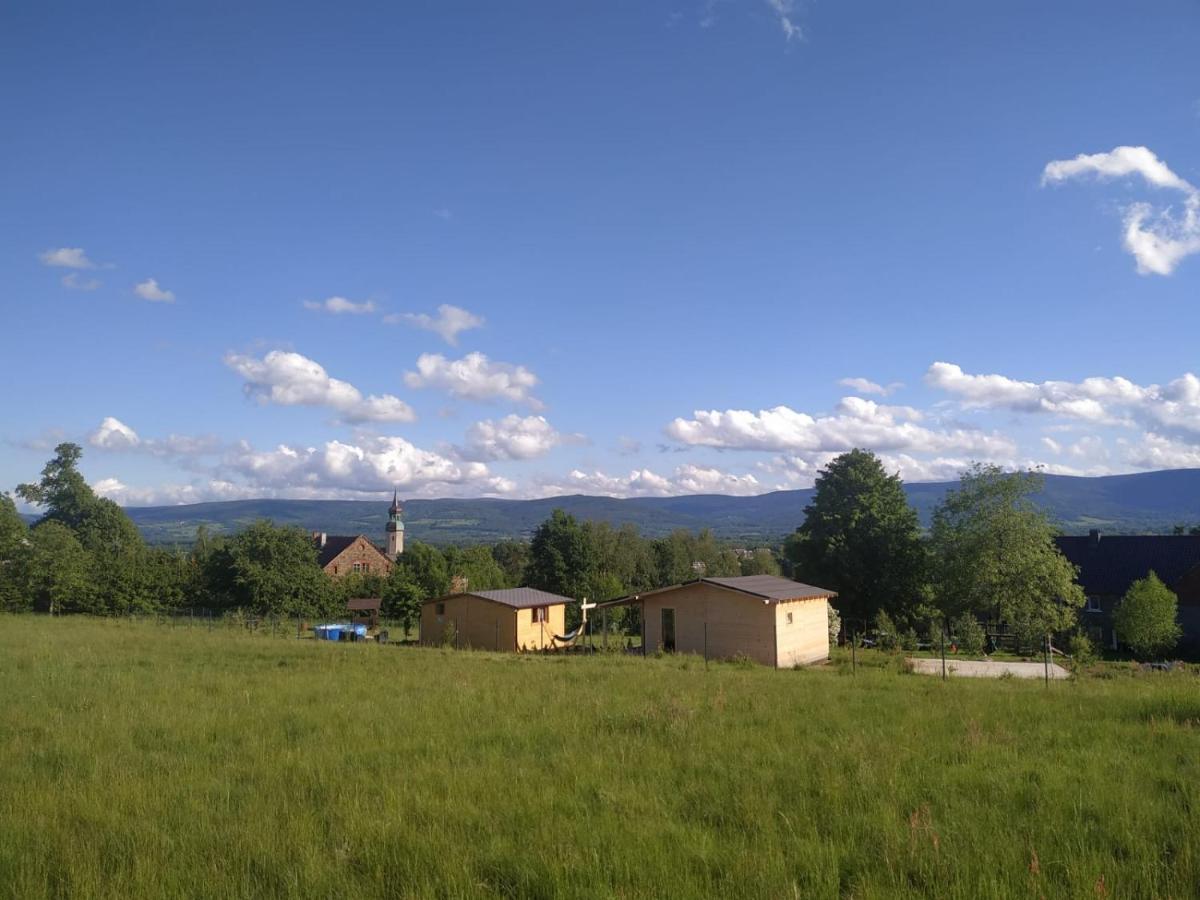 Domek W Gorach Izerskich 4 I 6 Osobowy, Agroturystyka, Zywe Zwierzeta, W Pelni Wyposazone, Plac Zabaw Dla Dzieci, Ognisko Z Kijkami I Rusztem, Ogrzewanie I Klimatyzacja, Latem Basen Mirsk Exterior foto