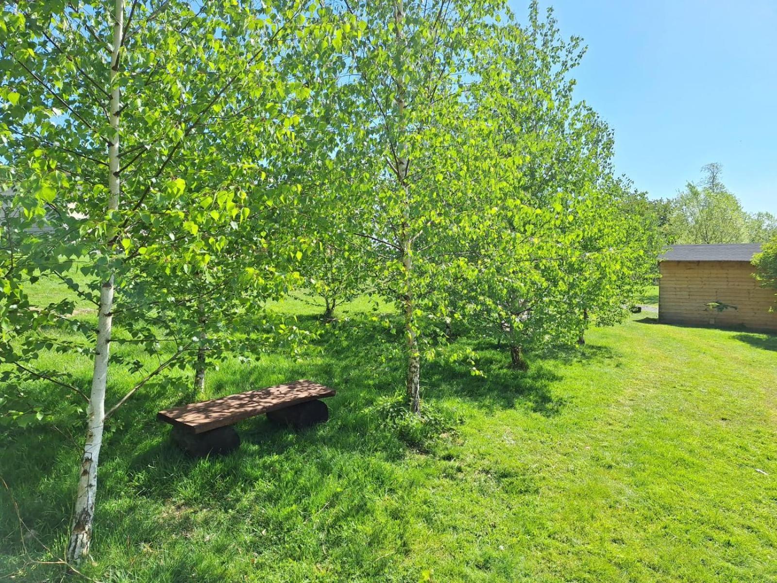 Domek W Gorach Izerskich 4 I 6 Osobowy, Agroturystyka, Zywe Zwierzeta, W Pelni Wyposazone, Plac Zabaw Dla Dzieci, Ognisko Z Kijkami I Rusztem, Ogrzewanie I Klimatyzacja, Latem Basen Mirsk Exterior foto